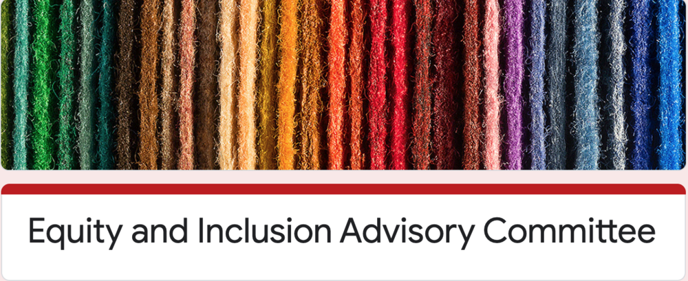 This is a picture of yarn arranged in a rainbow format followed by the words Equity and Inclusion Advisory Committee