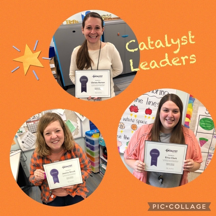 catalyst leaders