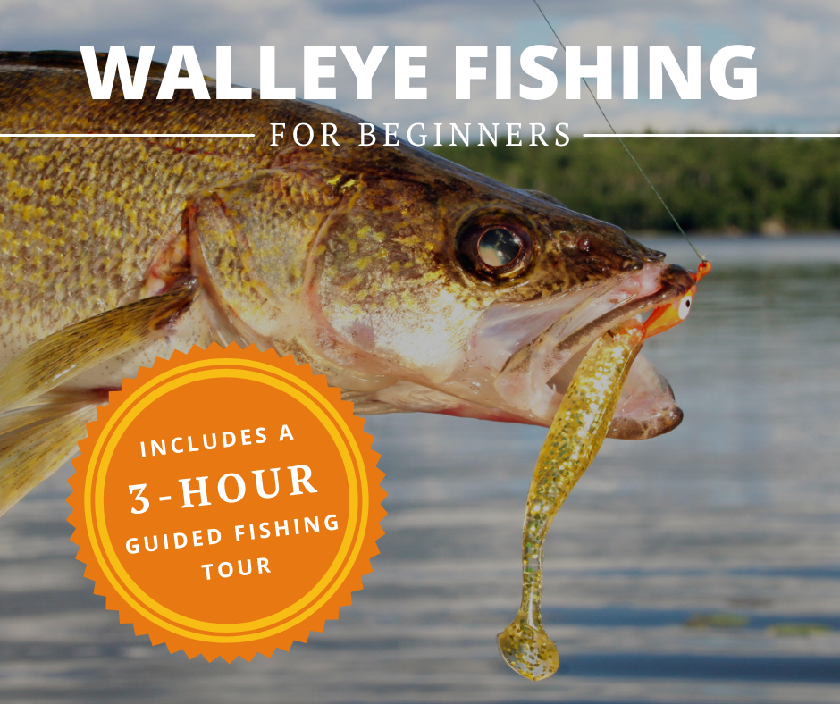 Walleye Fishing for Beginners