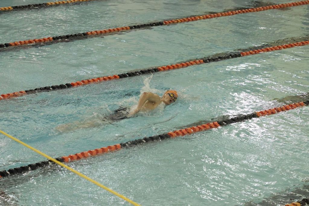 Swimmer performing the free style at a dual on Jan. 12