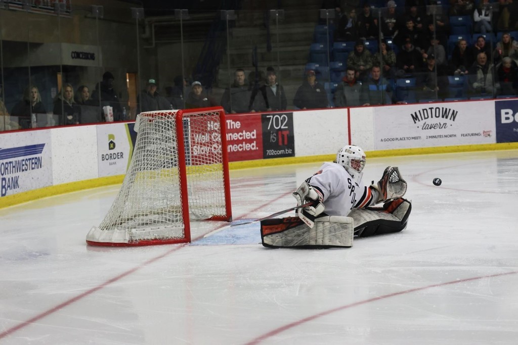 Goalie defends the goal and catches an incoming puck